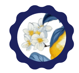 Lemon Blossom Luxury Drinks Coasters (Pack of 12)