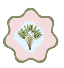 Pink Palm Luxury Drinks Coasters (Pack of 12)