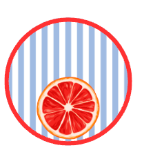 Citrus Orange Drinks Coasters (Pack of 12)