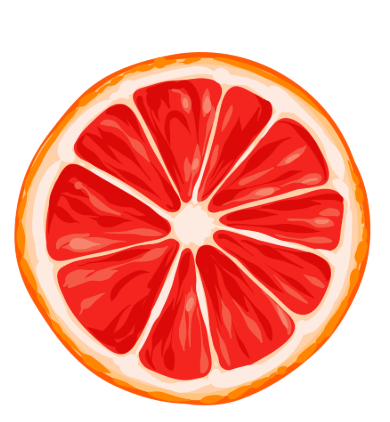 Citrus Orange Placemat Pad (Pack of 25)