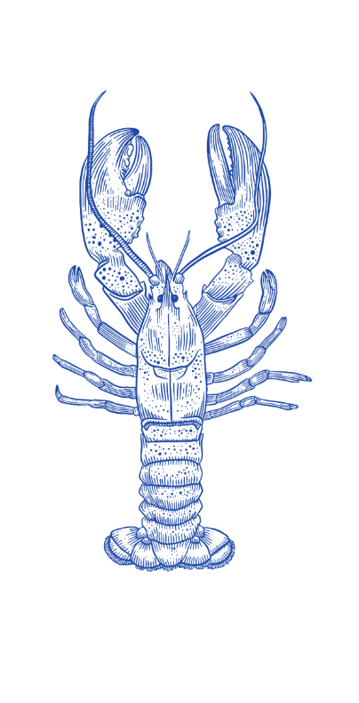 Lobster Placemat Pad (Pack of 25) - Blue