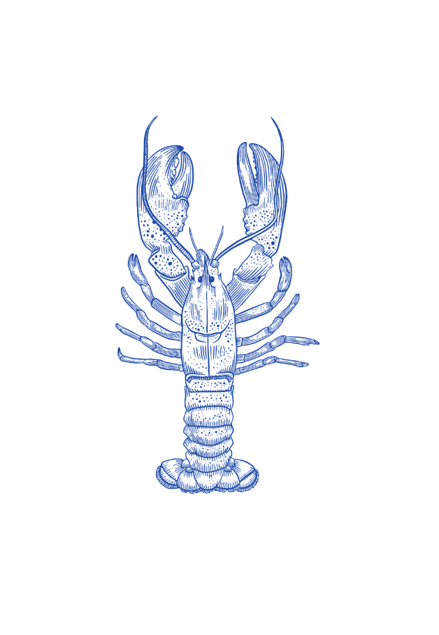 Lobster Placemat Pad (Pack of 25) - Blue