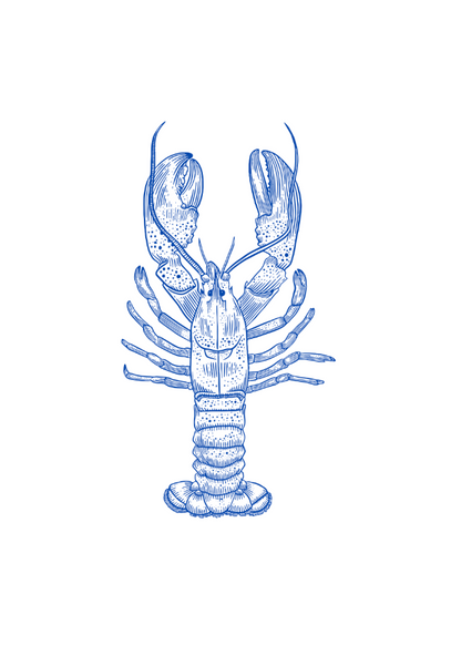 Lobster Placemat Pad (Pack of 25) - Blue