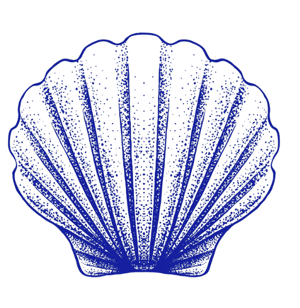 Shell Blue Placemat Pad (Pack of 25)