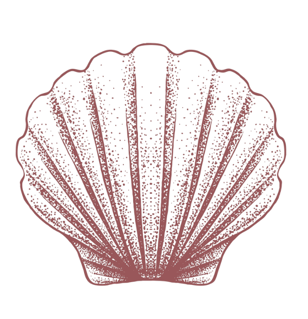 Shell Pink Placemat Pad (Pack of 25)
